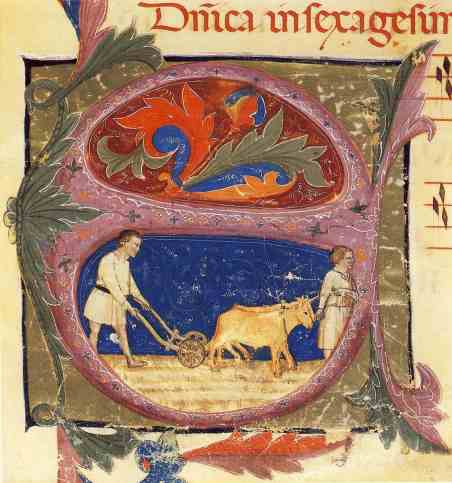 usci il seminatore a seminare3 - domenica XV