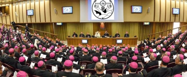 sinodo-de-la-familia-910x375