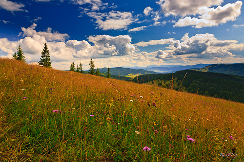 CONTEMPLAZIONE E INTERCESSIONE.jpg