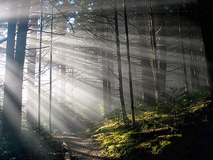 Shed light upon me with the rays of your mercy,