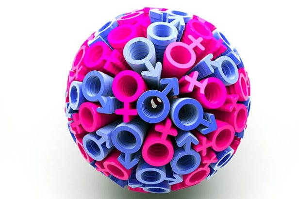 Gender (d)istruzione