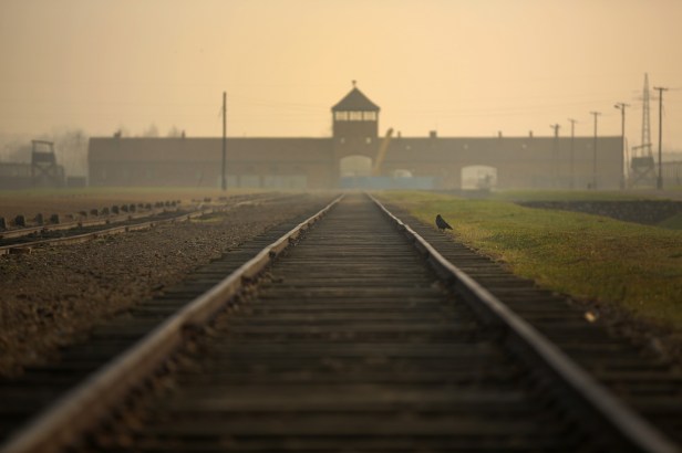 Auschwitz 1
