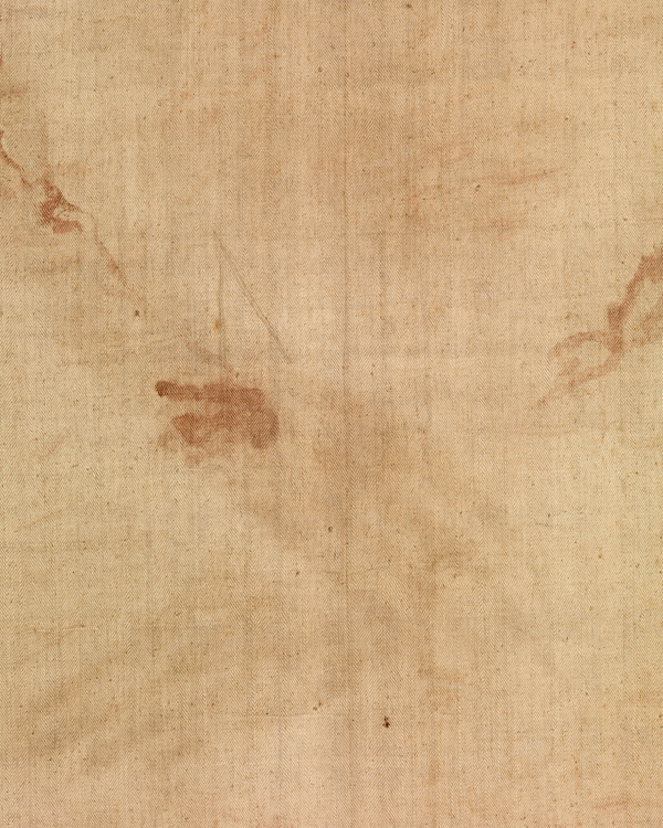 L’uomo della sindone 3 - particolare delle mani (arcidiocesi di Torino, Giandurante 2010)