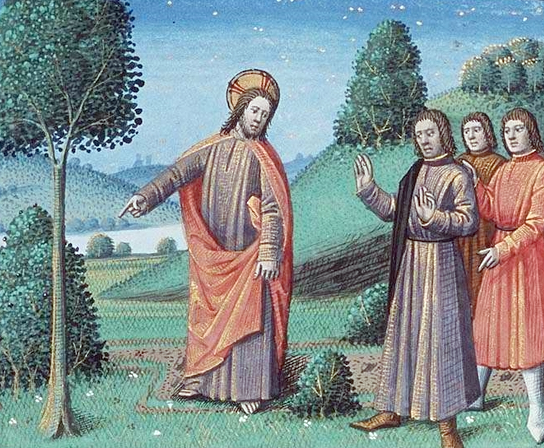 parable-of-the-fig-tree