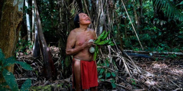 Emrya Wajãpi was killed on July 23 in Amapá, a region in the far north of Brazil,