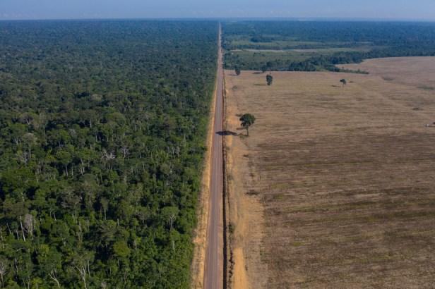 L’Amazonie pourrait disparaître d'ici 50 ans, selon une étude