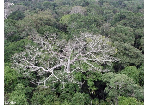 Encíclica Laudato si' sobre o cuidado pela casa comum.