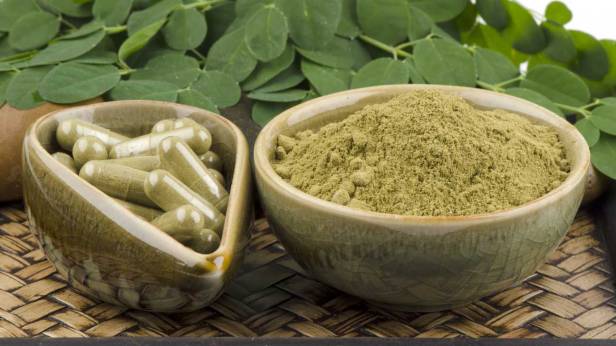 moringa-oleifera