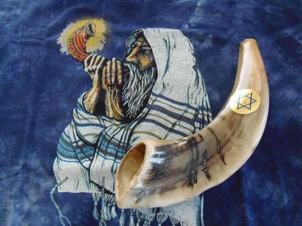 Anno della Misericordia4