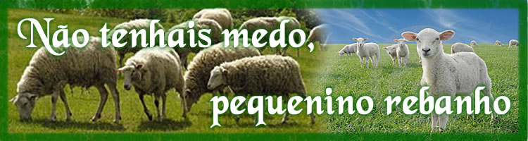 Não tenha medo pequeno rebanho!