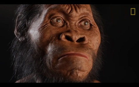 Homo-naledi-un-nouvel-hominide-decouvert-en-Afrique-du-Sud_article_main