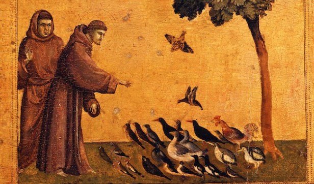 La conversion écologique des chrétiens