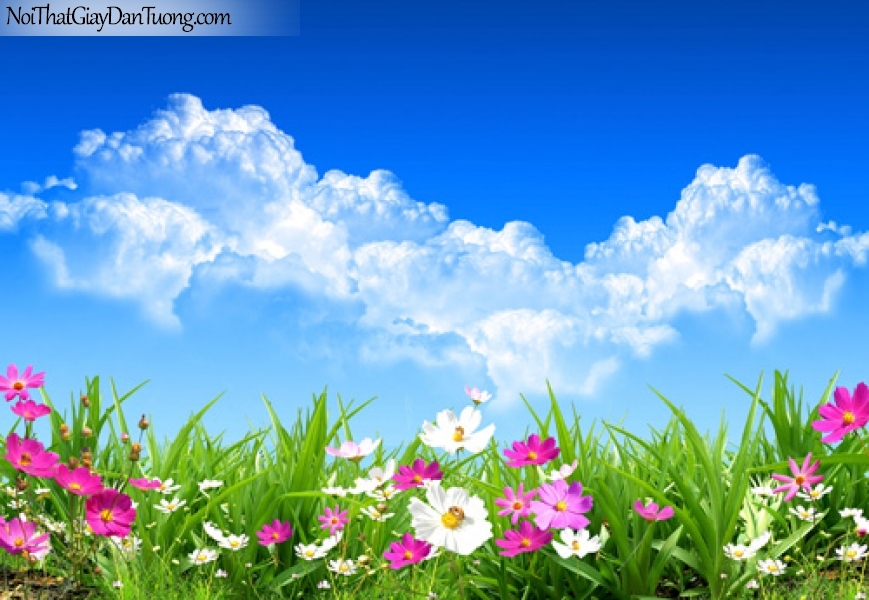 17. Caminar como hijos de la luz.jpg