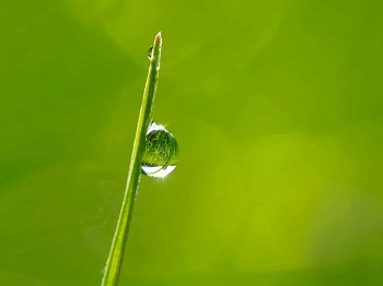 Amore-silenzio-unità