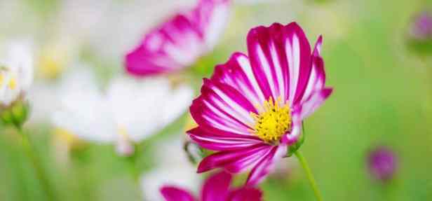 Vivere-il-momento-presente