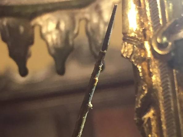 La Sacra Spina della Passione è tornata a fiorire.2