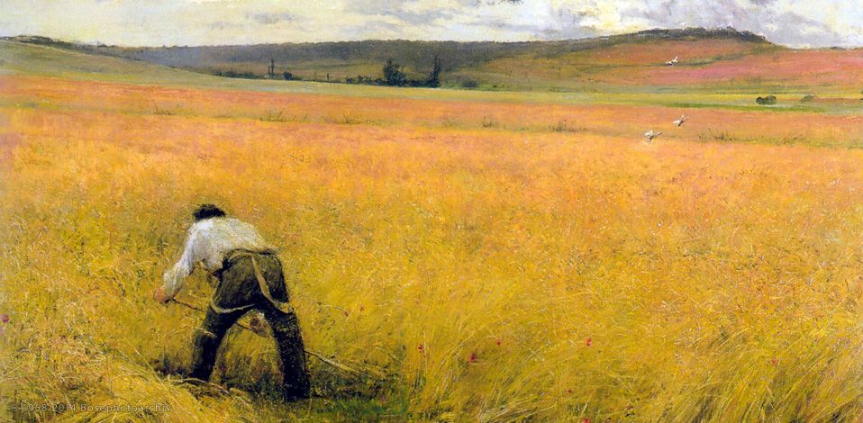 Jules Bastien Lepage, Les Bles murs, olio su tela, 1880