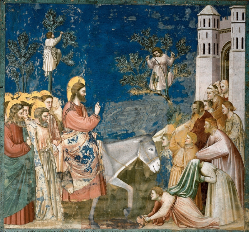 domenica delle palme4