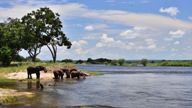 victoria-falls-3-days-elephant-national-park