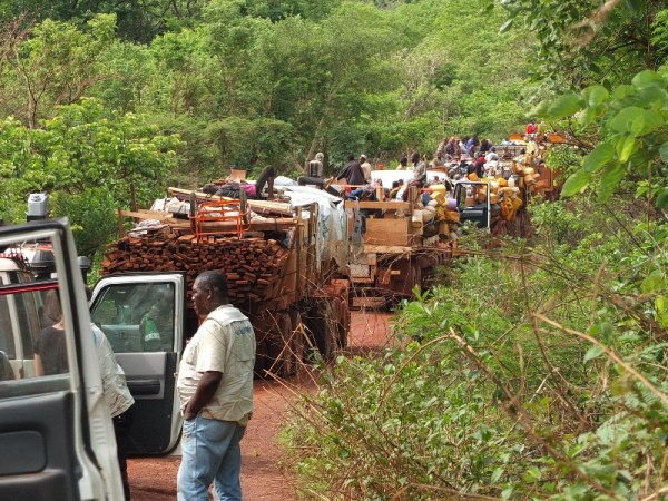 R.C.A. - Convoglio umanitario con 1300 sfollati in fuga da Bangui