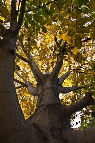 119565780_54hphJRK_IMG_5460r