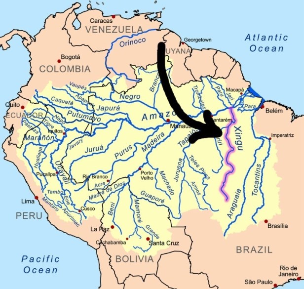Xingu