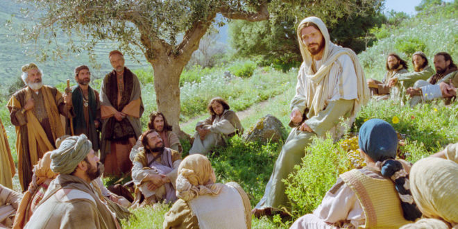 Mateo-10-37-42-2-660x330