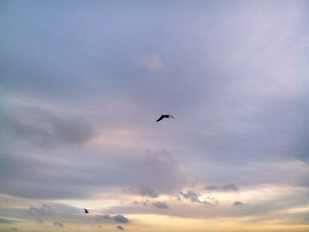 Ritorna in te stesso