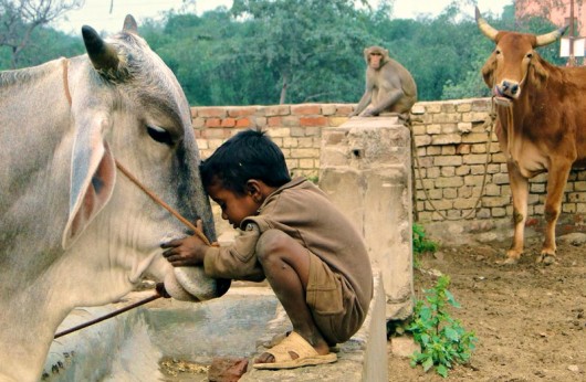 17. Passar por cima das nossas feridas