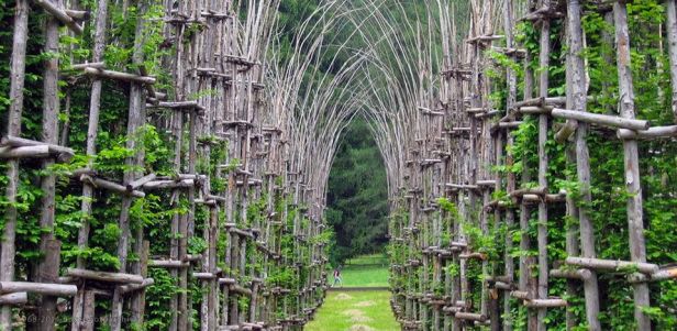 Giuliano Mauri, Cattedrale vegetale, Arte Sella, Borgo Valsugana (TN)