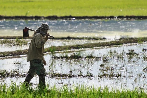 tierra, techo y trabajo