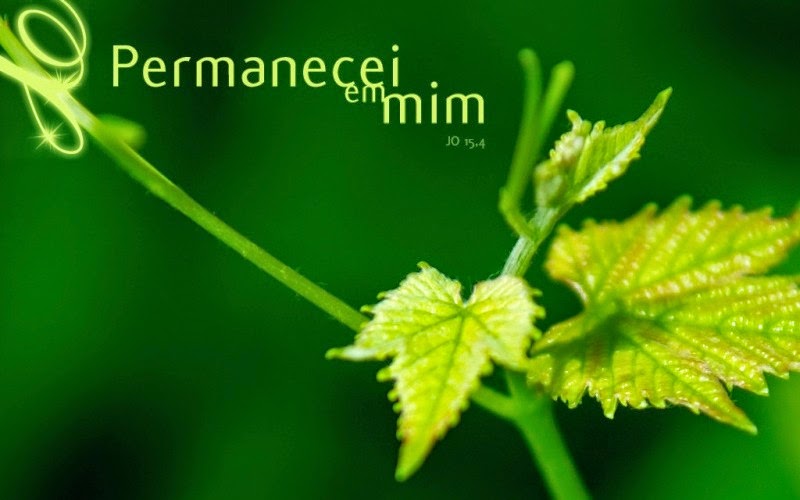 permanecei-em-mim-11-800x500