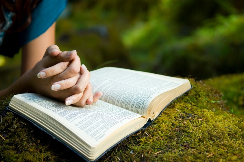 Young woman reading bible by stream in summer