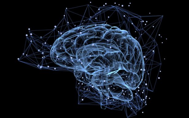 NEUROSCIENZE3-1080x675