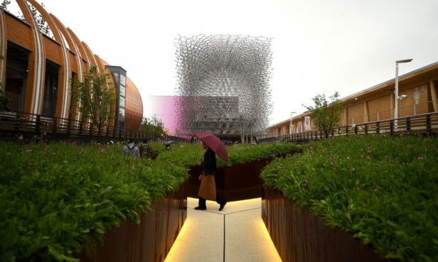 La struttura, che richiama l'idea di un alveare, secondo gli addetti ai lavori è quella che ha meglio interpretato il tema Nutrire il pianeta2