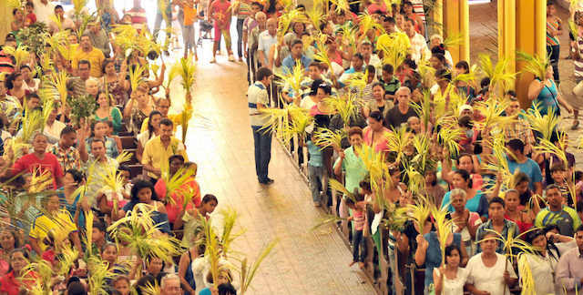 DOMINGO DE RAMOS BARRANQUILLA