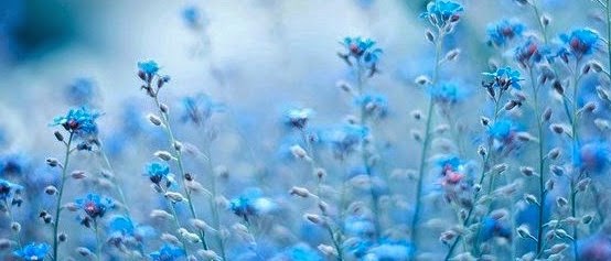 8. Entrar en la vida