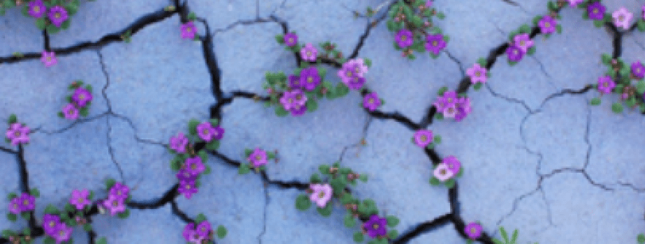 I who was broken, am restored,.png