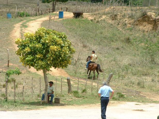 17. Vieni e ti mostrerò le opere degli uomini.jpg