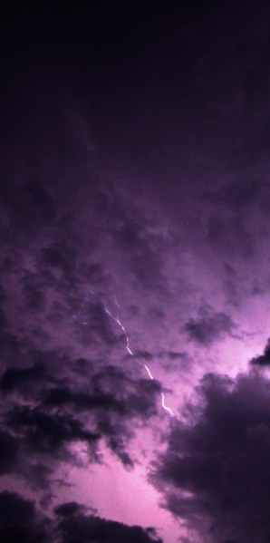 lara_cheetinho Fotolia