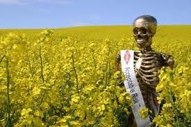 Monsanto derrière des milliers de suicides parmi les producteurs de coton