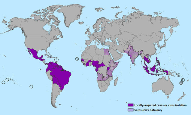 Zika Virus Outbreak