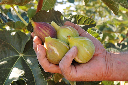 14. Escluso dalla benedizione