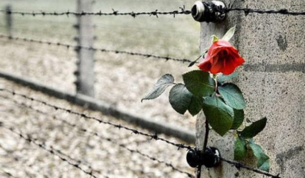 UNO SPICCHIO DI CIELO