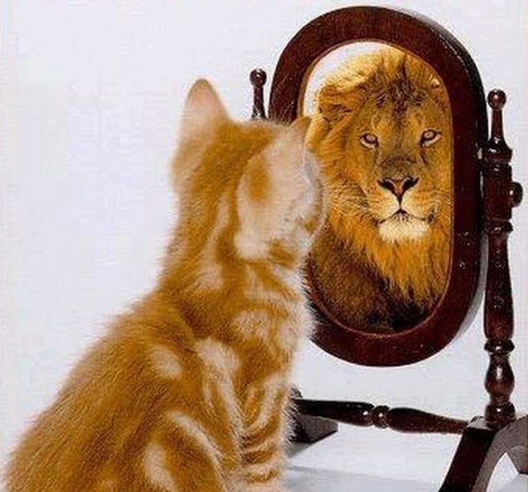 la-crisi-dellimmagine-che-abbiamo-di-noi-stessi