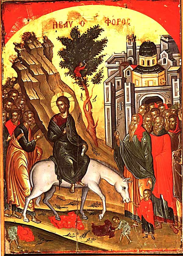 domenica delle palme3.jpg