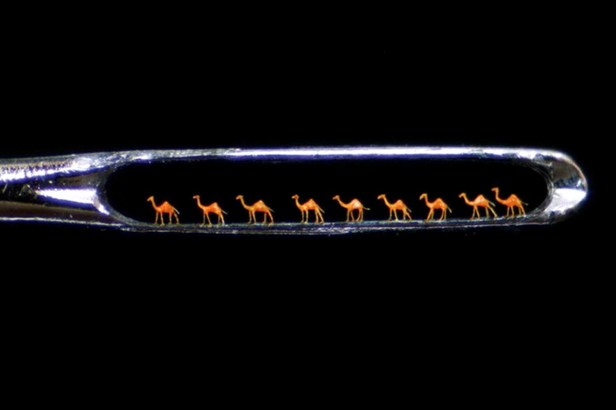 76 Willard Wigan, Nine Camel in the eye of the needly, 2010, Microscultura tecnica mista, mm 0,005 Collezione Privata