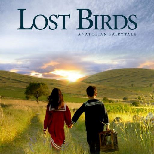Lost birds4