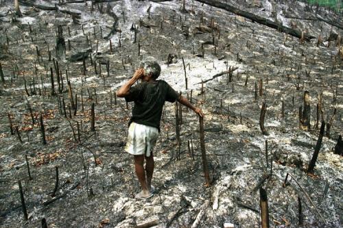 Ambiente, 1.746 guerre «invisibili»