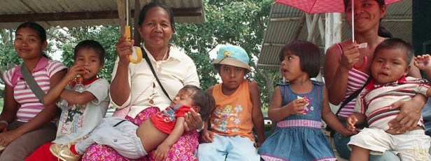 As 15 propostas mais audaciosas do ‘Instrumentum laboris’ do Sínodo da Amazônia